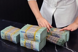 Cổ đông nhiều doanh nghiệp sắp nhận 'mưa lì xì' tiền mặt ngay sau Tết
