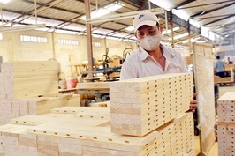 Tháng 7/2022, xuất khẩu gỗ và lâm sản giảm tháng thứ hai liên tiếp