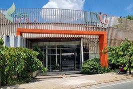 LDG Group kinh doanh kém hiệu quả, tiếp tục thoát lỗ nhờ lãi phạt chậm thanh toán
