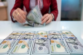 WB: 'Việt Nam có thể cân nhắc nới biên độ tỷ giá USD/VNĐ hơn nữa'