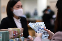 Giá USD ngân hàng xuống đáy ba tháng 
