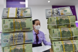 Ngân hàng Nhà nước trở lại kênh mua ngoại tệ 