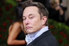 Fan cứng Elon Musk vỡ mộng vì thua lỗ chứng khoán