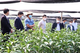 Mở rộng tín dụng ngân hàng phát triển kinh tế tập thể
