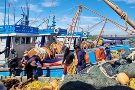 Thủy sản năm 2023: Sản lượng nuôi trồng vượt chỉ tiêu, xuất khẩu không hoàn thành kế hoạch