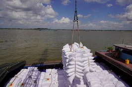 Cơ hội cho ngành gạo trong khủng hoảng lương thực toàn cầu 