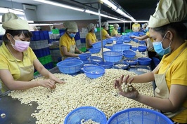 Giải ngân gói hỗ trợ lãi suất 2%: Hạ chuẩn vay có thể gây hệ luỵ cho nền kinh tế