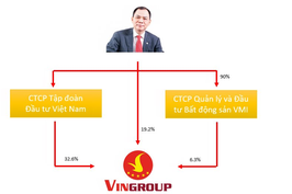 Mô hình kinh doanh độc đáo của công ty vốn 18.000 tỷ vừa được ông Phạm Nhật Vượng thành lập