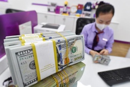 USD neo giá cao 