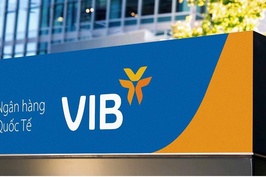 Hết thời gian, Phó Tổng giám đốc VIB mới mua hơn 1/5 lượng cổ phiếu đăng ký