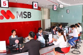 MSB chính thức công bố kế hoạch nhận sáp nhập một ngân hàng, dự kiến lợi nhuận năm 2023 đạt 6.300 tỷ đồng