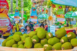 Hàng trăm nhà vườn Nam Bộ đem trái cây lên TP.HCM chào bán