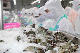 6 tháng đầu năm, một mặt hàng xuất khẩu chủ lực chỉ thu về 1,5 tỷ USD